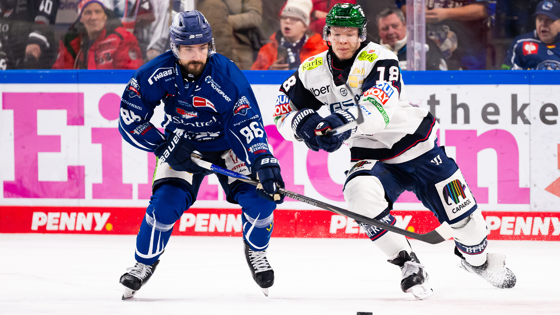 Straubing Tigers gg. Eisbären Berlin